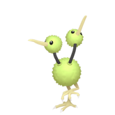 6IV Shiny Doduo Indigo Disk Pokemon Scarlet and Violet